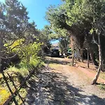 Bue Marino Semesterbostad Carloforte (Isola di San Pietro)